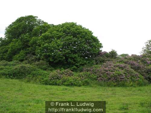 Around Heapstown Cairn